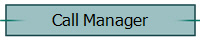 Call Manager